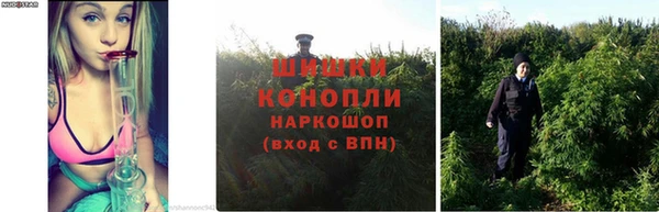 дистиллят марихуана Козловка
